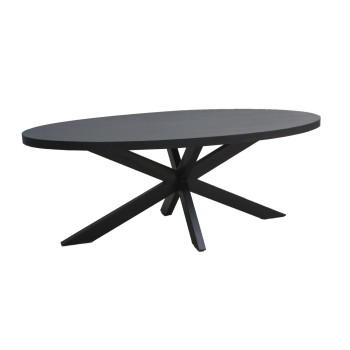 Eetkamertafel Kala Oval Spider 160cm